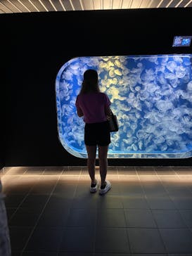 鴨川シーワールドに投稿された画像（2025/5/19）