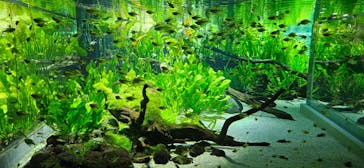 カワスイ 川崎⽔族館に投稿された画像（2025/5/19）