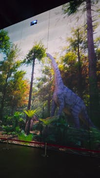 福井県立恐竜博物館に投稿された画像（2025/5/19）