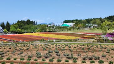 牧歌の里に投稿された画像（2025/5/19）