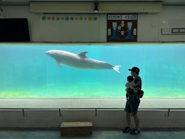 南知多ビーチランド＆南知多おもちゃ王国に投稿された画像（2025/5/19）