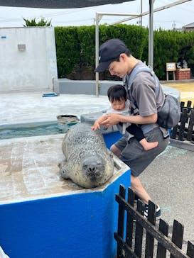 南知多ビーチランド＆南知多おもちゃ王国に投稿された画像（2025/5/19）