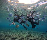 青の洞窟専門店　沖縄ダイビングショップ和に投稿された画像（2025/5/19）