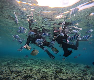 青の洞窟専門店　沖縄ダイビングショップ和に投稿された画像（2025/5/19）