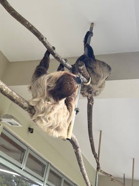 ネオパークオキナワに投稿された画像（2025/5/19）