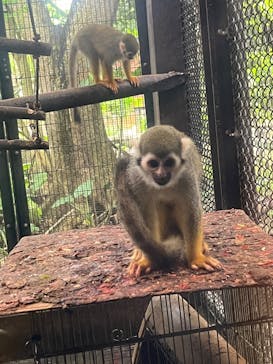 ネオパークオキナワに投稿された画像（2025/5/19）