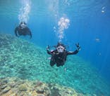 青の洞窟専門店　沖縄ダイビングショップ和に投稿された画像（2025/5/19）