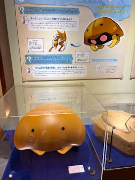 福井県立恐竜博物館に投稿された画像（2025/5/19）