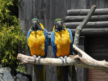 岩手サファリパークに投稿された画像（2025/5/19）