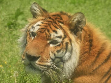 岩手サファリパークに投稿された画像（2025/5/19）