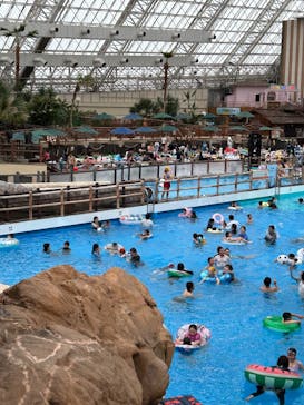 東京サマーランドに投稿された画像（2025/5/19）