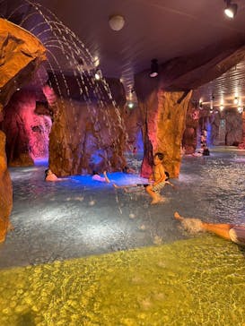 東京サマーランドに投稿された画像（2025/5/19）