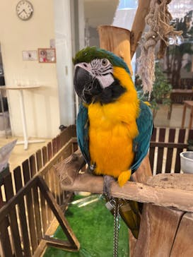 Moff animal cafe イオンモール幕張新都心店に投稿された画像（2025/5/19）