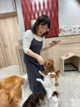 いぬカフェRio 富士見店に投稿された画像（2025/5/19）