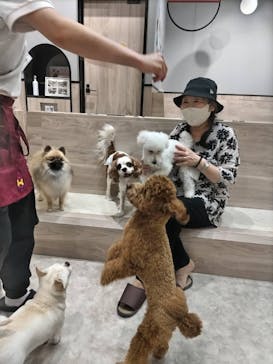 いぬカフェRio 富士見店に投稿された画像（2025/5/19）