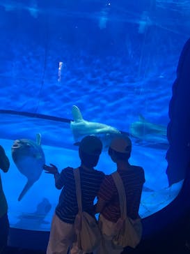アクアワールド茨城県大洗水族館に投稿された画像（2025/5/19）