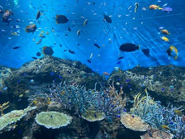 アクアワールド茨城県大洗水族館に投稿された画像（2025/5/19）