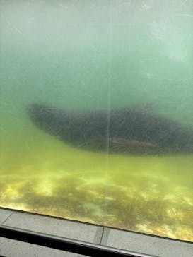 千葉市動物公園に投稿された画像（2025/5/19）