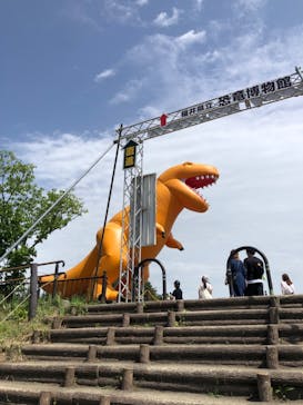 福井県立恐竜博物館に投稿された画像（2025/5/19）