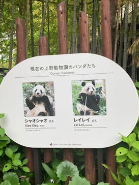 恩賜上野動物園に投稿された画像（2025/5/19）