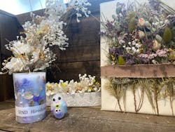 SEND Hiroshimaに投稿された画像（2025/5/19）