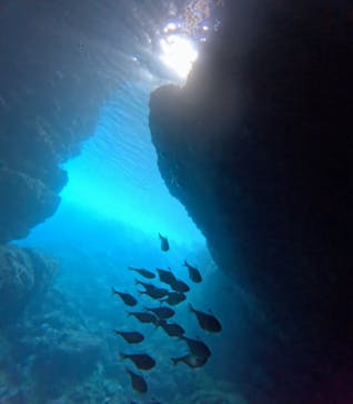 青の洞窟専門店　沖縄ダイビングショップ和に投稿された画像（2025/5/19）