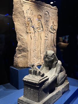 ACN ラムセス大王展 ファラオたちの黄金に投稿された画像（2025/5/19）