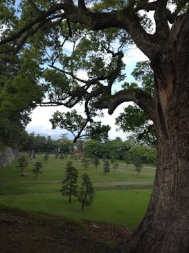 足立美術館に投稿された画像（2025/5/19）