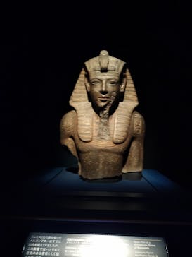 ACN ラムセス大王展 ファラオたちの黄金に投稿された画像（2025/5/19）