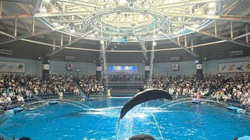 マクセル アクアパーク品川に投稿された画像（2025/5/19）