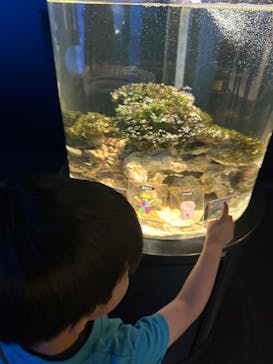 NIFREL（ニフレル）に投稿された画像（2025/5/19）