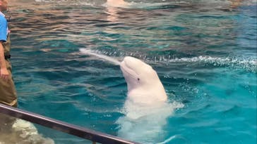 名古屋港水族館に投稿された画像（2025/5/19）