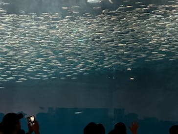 名古屋港水族館に投稿された画像（2025/5/19）