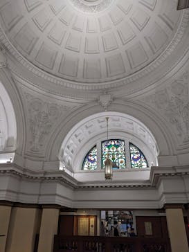 国立科学博物館に投稿された画像（2025/5/19）