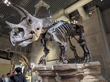 国立科学博物館に投稿された画像（2025/5/19）