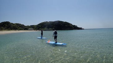 ホワイトウイングに投稿された画像（2025/5/19）