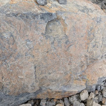 福井県立恐竜博物館に投稿された画像（2025/5/19）