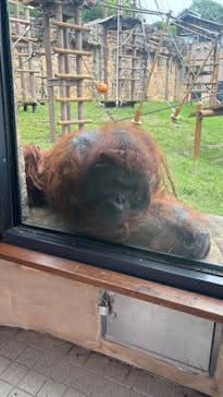 東京動物園協会_多摩動物公園に投稿された画像（2025/5/19）