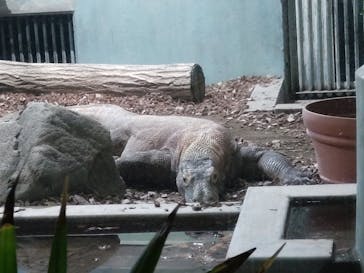 名古屋市東山動植物園に投稿された画像（2025/5/19）