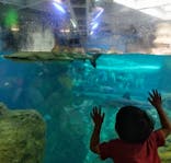 新江ノ島水族館に投稿された画像（2025/5/20）