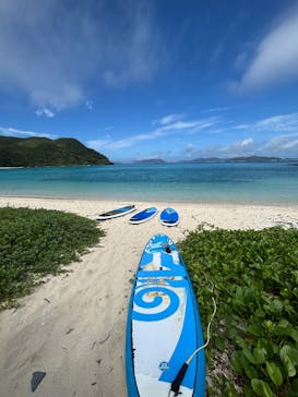 Acoustic Life（アコースティックライフ）に投稿された画像（2025/5/19）