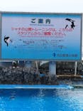 名古屋港水族館に投稿された画像（2025/5/20）