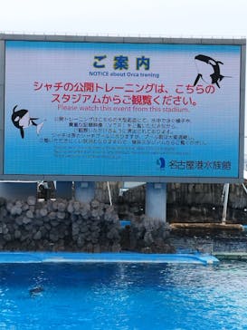 名古屋港水族館に投稿された画像（2025/5/19）