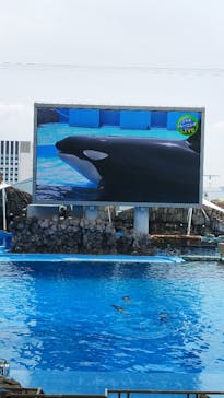 名古屋港水族館に投稿された画像（2025/5/19）
