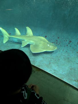 葛西臨海水族園に投稿された画像（2025/5/19）