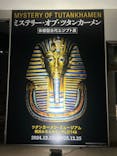 MYSTERY OF TUTANKHAMEN 体感型古代エジプト展に投稿された画像（2025/5/20）