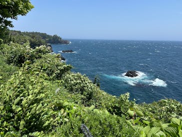 ニューヨークランプミュージアム＆フラワーガーデンに投稿された画像（2025/5/20）