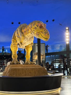 福井県立恐竜博物館に投稿された画像（2025/5/20）