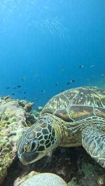  マリンショップHAPPYに投稿された画像（2025/5/20）