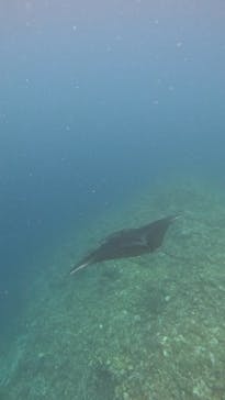  マリンショップHAPPYに投稿された画像（2025/5/20）